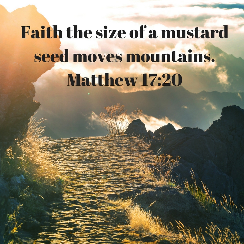 faith-the-size-of-a-mustard-seed-moves-mountains-matthew-17_20